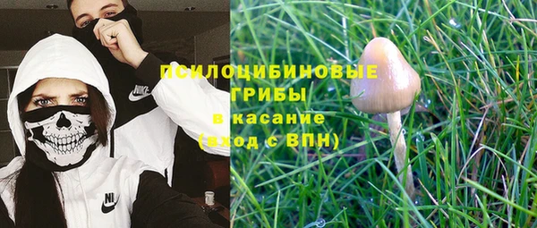метадон Ладушкин
