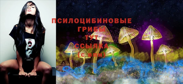 метадон Ладушкин