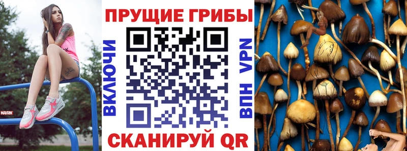 Галлюциногенные грибы мицелий  Пикалёво 